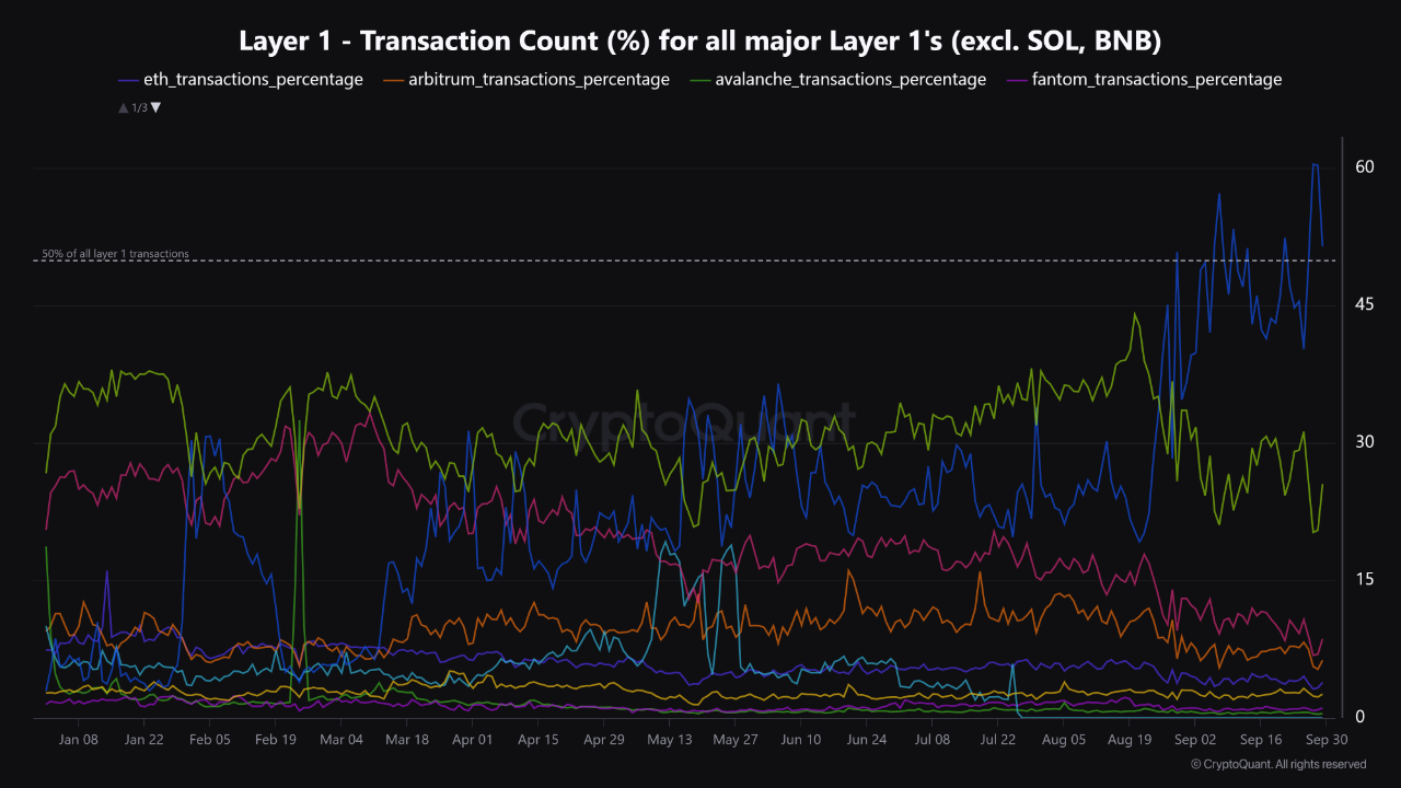 Según un informe de CryptoQuant, TON capturó más del 50% de todas las transacciones de capa 1 en el último mes, impulsada por lanzamientos de tokens como Hamster Kombat, DOGS y CatizenAI.