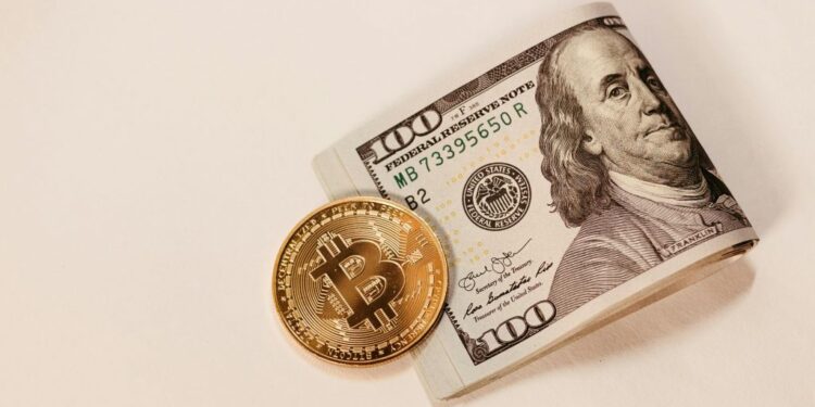 NFT Market NFT REVIEW NEWS ¿Cómo empezar a aceptar pagos con criptomonedas en tu negocio? – Bitnovo Blog