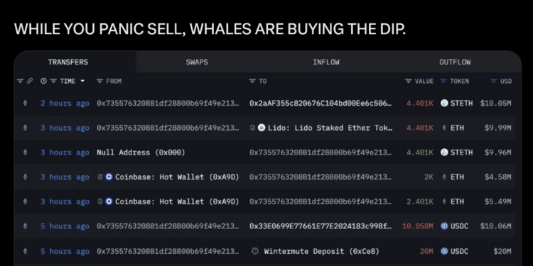 Noticias de Ethereum Una ballena de Ethereum acumuló USD 39M a pesar de que ETH cayó más que Bitcoin