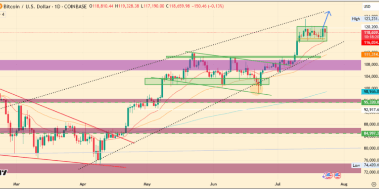 Noticias de Ethereum Bitcoin Price in Danger Zone! What Happens If Whales Sell?