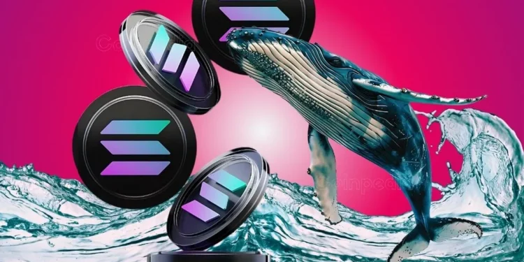 Noticias de Ethereum What Next for SOL Price?