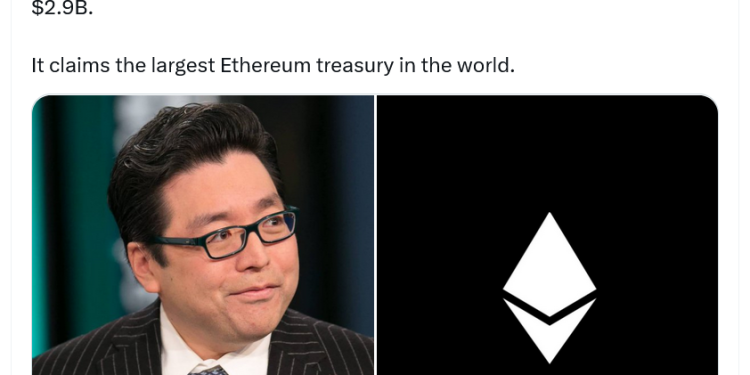 Noticias de Ethereum Tenencias de ETH de BitMine superaron los 3.000 millones de dólares con la última compra