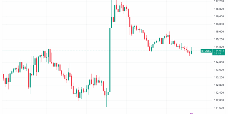 Noticias de Ethereum Bitcoin Whales Buy Ether After ETH Price Hits Record Highs