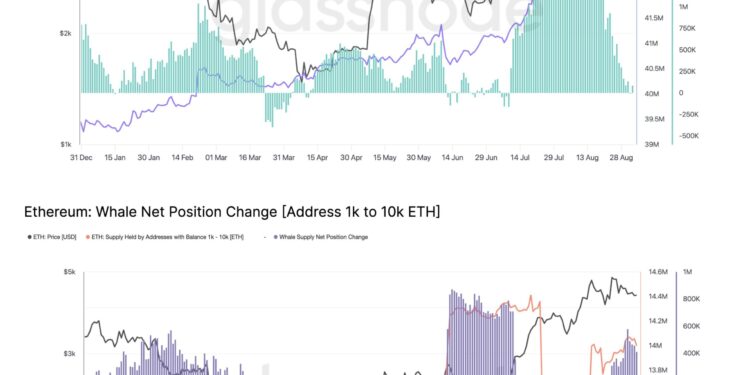 Noticias de Ethereum ¿Qué significa la divergencia entre las ballenas Ethereum?