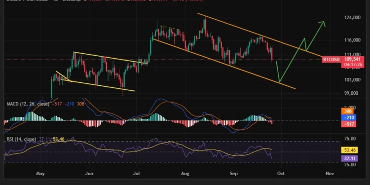 Noticias de Ethereum Why is the Crypto Market Down Today? Total Long Liquidations Tops $1.1B