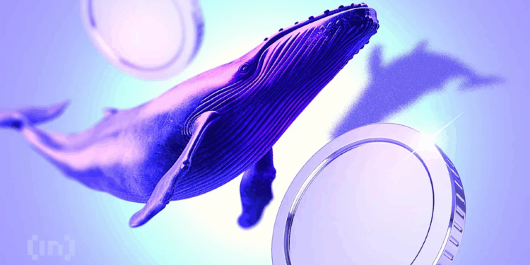 Noticias de Ethereum ¿Qué están haciendo hoy las ballenas de criptomonedas?