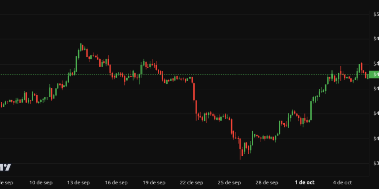 Noticias de Ethereum Altcoins que compraron las ballenas: 1era semana de octubre