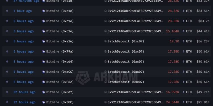 Noticias de Ethereum BitMine hace staking de 1.000 millones de dólares en Ether