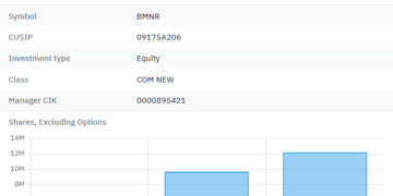 Noticias de Ethereum Morgan Stanley, Top Bitmine Shareholders Increased BMNR Holdings in Q4