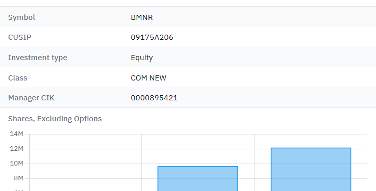 Noticias de Ethereum Morgan Stanley, Top Bitmine Shareholders Increased BMNR Holdings in Q4