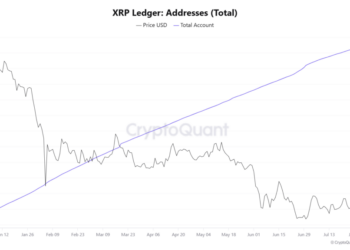 My Crypto Lawyer Sec News XRP Ledger adoption accelerates as Ripple receives full EU MiCA license
