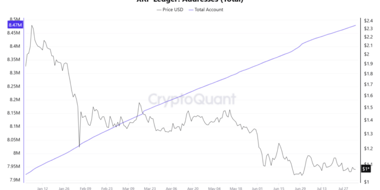 My Crypto Lawyer Sec News XRP Ledger adoption accelerates as Ripple receives full EU MiCA license